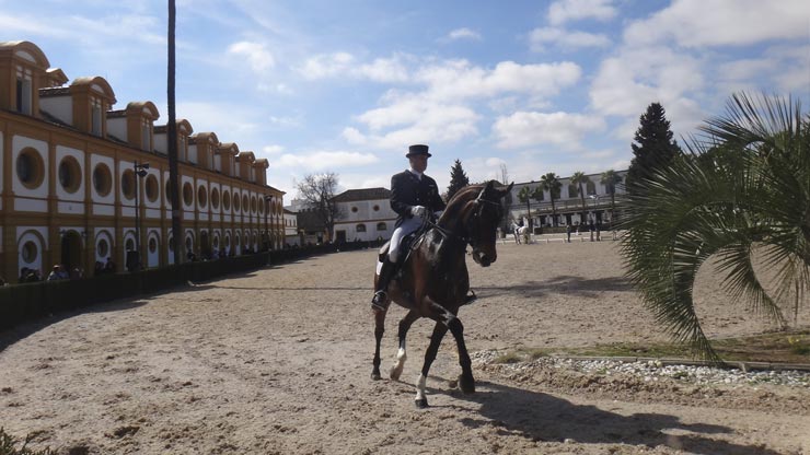 Jerez